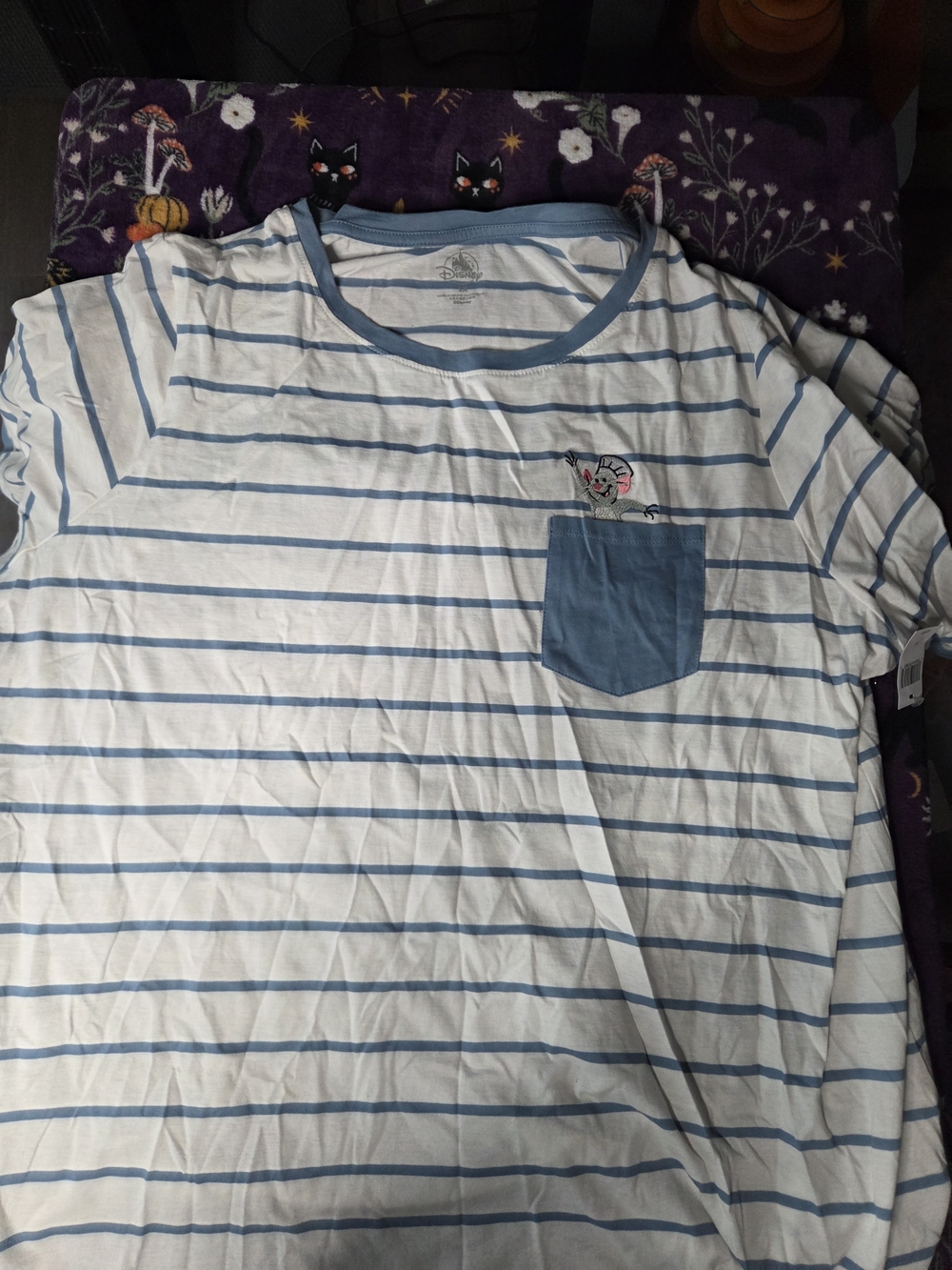 Walt Disney World Parks Ratatouille Remy's Adventure Striped Shirt 2X